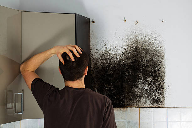 Mold Testing and Removal in Cordry Sweetwater Lakes, IN